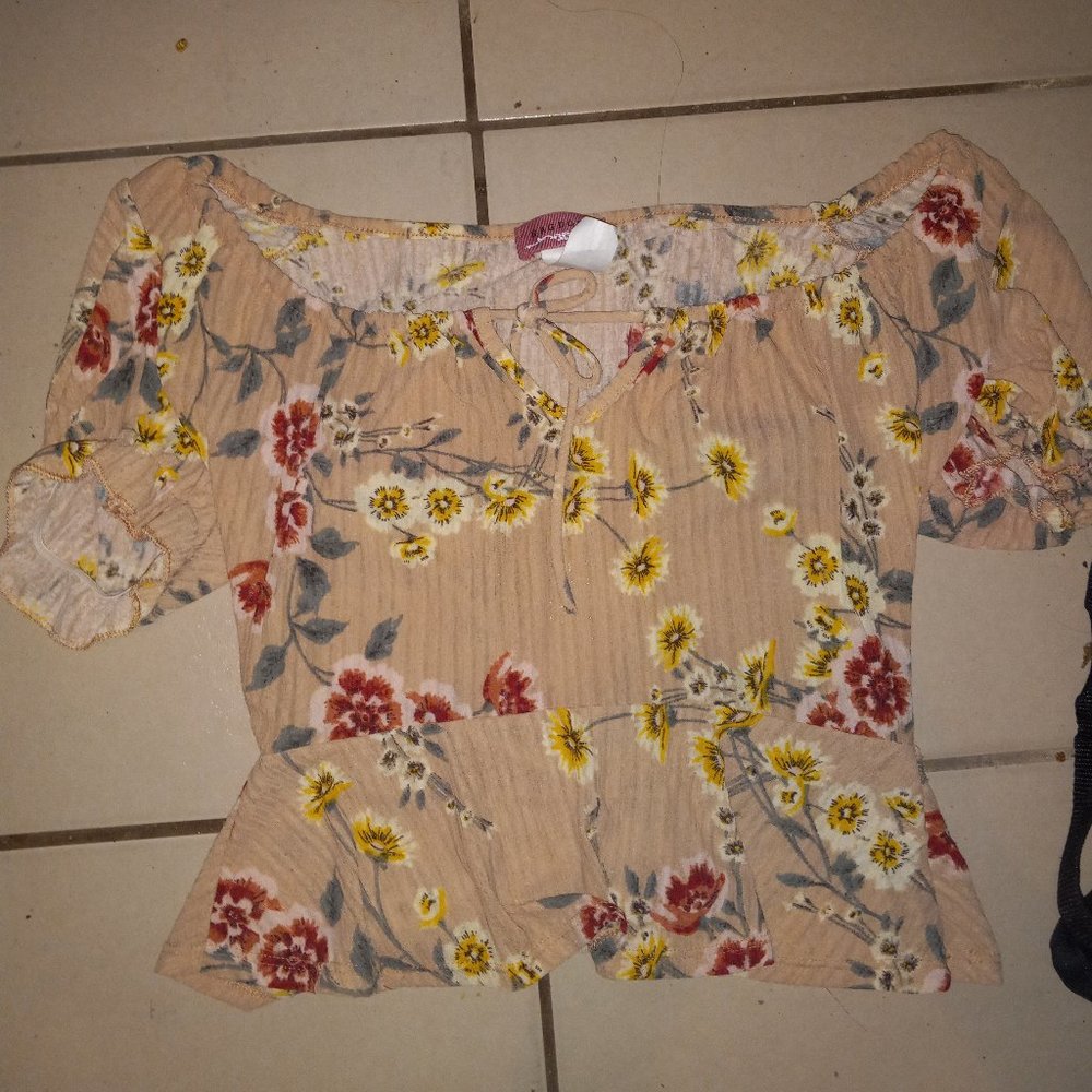 Ragdoll  women crop top